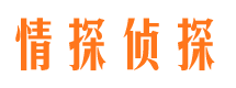 城子河侦探